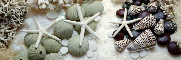 Alan Blaustein: Island Tide Pool II by Alan Blaustein