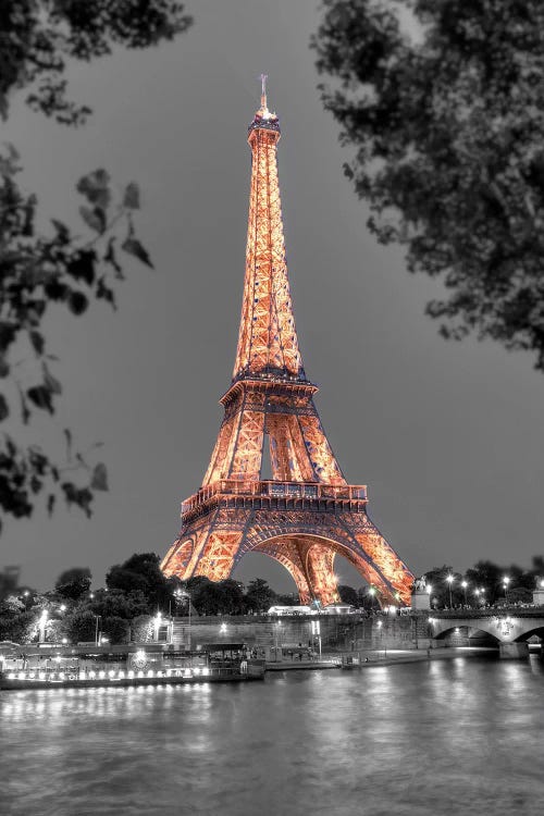 Nuit Sur la Seine by Alan Blaustein wall art