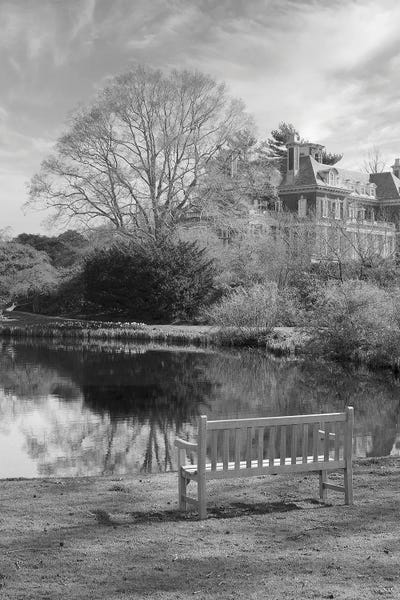 Alan Blaustein: Coastal Oak Series LXIII by Alan Blaustein