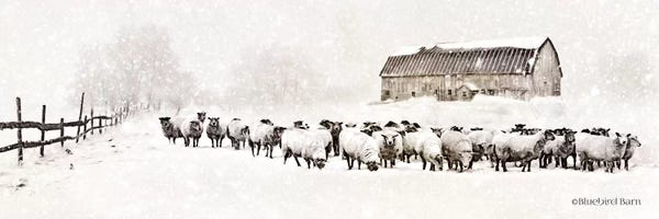 Farms: Warm Winter Barn with Sheep Herd by Bluebird Barn