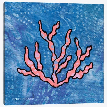 Whimsy Coastal Conch Coral Canvas Print #BLB128} by Bluebird Barn Art Print