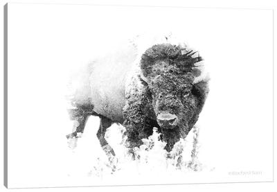 Bold Minimalist Bison Canvas Art Print - Native American Décor