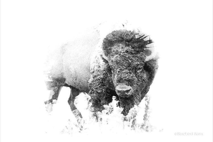 Bold Minimalist Bison