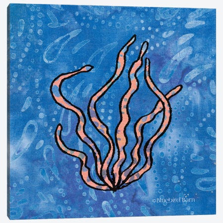 Whimsy Coastal Conch Seaweed Canvas Print #BLB130} by Bluebird Barn Canvas Wall Art