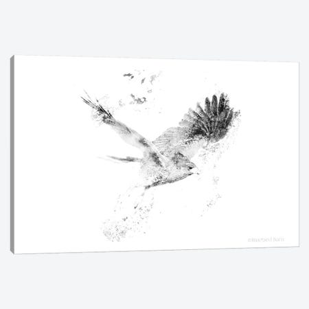 Wingspread Minimalist Hawk Canvas Print #BLB135} by Bluebird Barn Canvas Print
