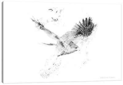 Wingspread Minimalist Hawk Canvas Art Print - Buzzard & Hawk Art