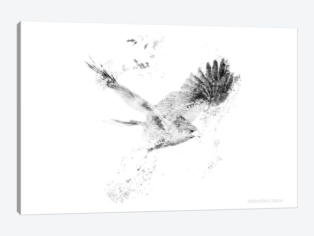 Wingspread Minimalist Hawk by Bluebird Barn 1-piece Canvas Art