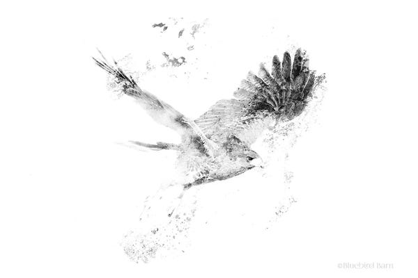 Bluebird Barn: Wingspread Minimalist Hawk by Bluebird Barn