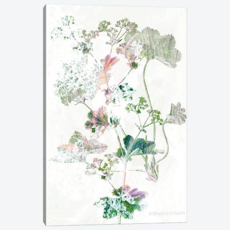 Boho Geranium Botanical    Canvas Print #BLB173} by Bluebird Barn Canvas Wall Art
