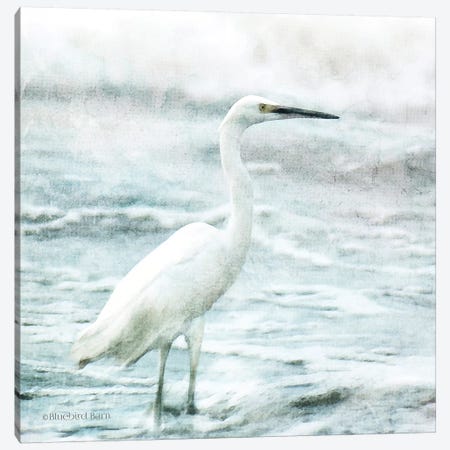 Coastal Heron Canvas Print #BLB177} by Bluebird Barn Art Print