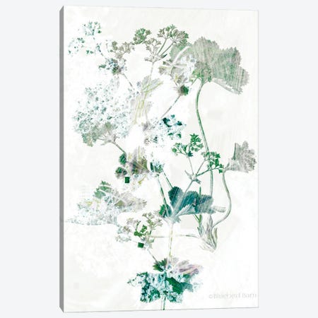 Geranium Botanical  Canvas Print #BLB179} by Bluebird Barn Canvas Artwork