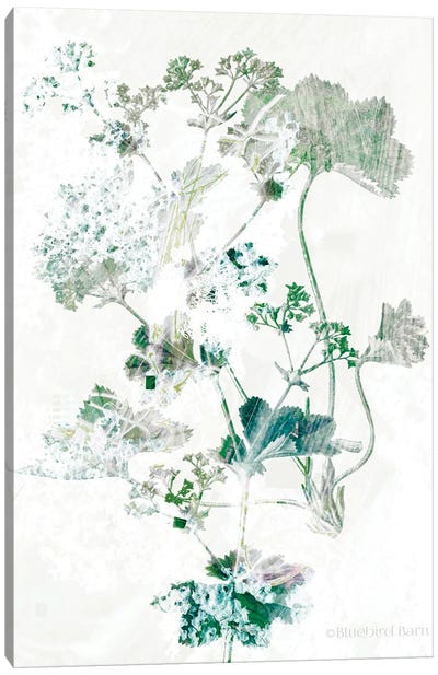 Geranium Botanical  Canvas Art Print