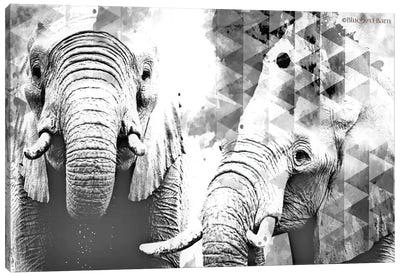 Modern Black & White Elephants    Canvas Art Print