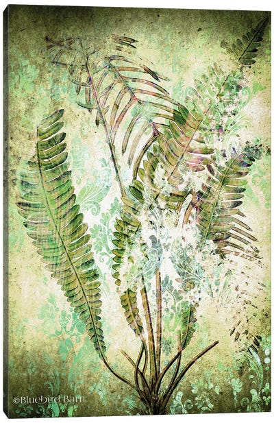 Organic Greenery in Damask II   Canvas Art Print - Ferns