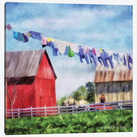Clothesline Farm Canvas Print #BLB19} by Bluebird Barn Canvas Artwork