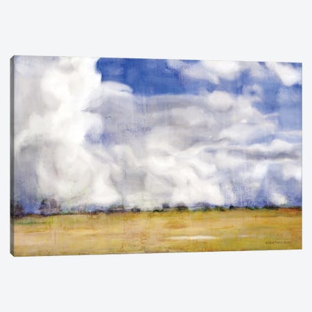 Big Blue Sky Canvas Print #BLB216} by Bluebird Barn Canvas Art