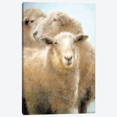 Three Sheep Portrait Canvas Print #BLB242} by Bluebird Barn Canvas Artwork