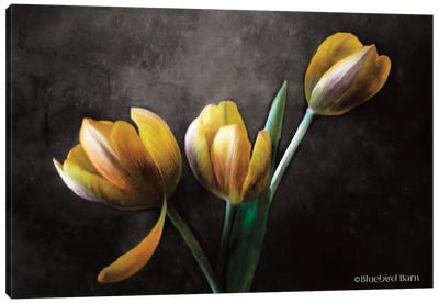 Contemporary Floral Tulips Canvas Art Print