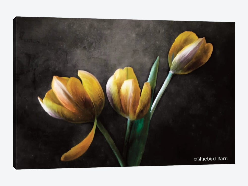 Contemporary Floral Tulips 1-piece Canvas Art