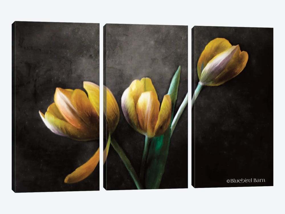 Contemporary Floral Tulips 3-piece Canvas Wall Art