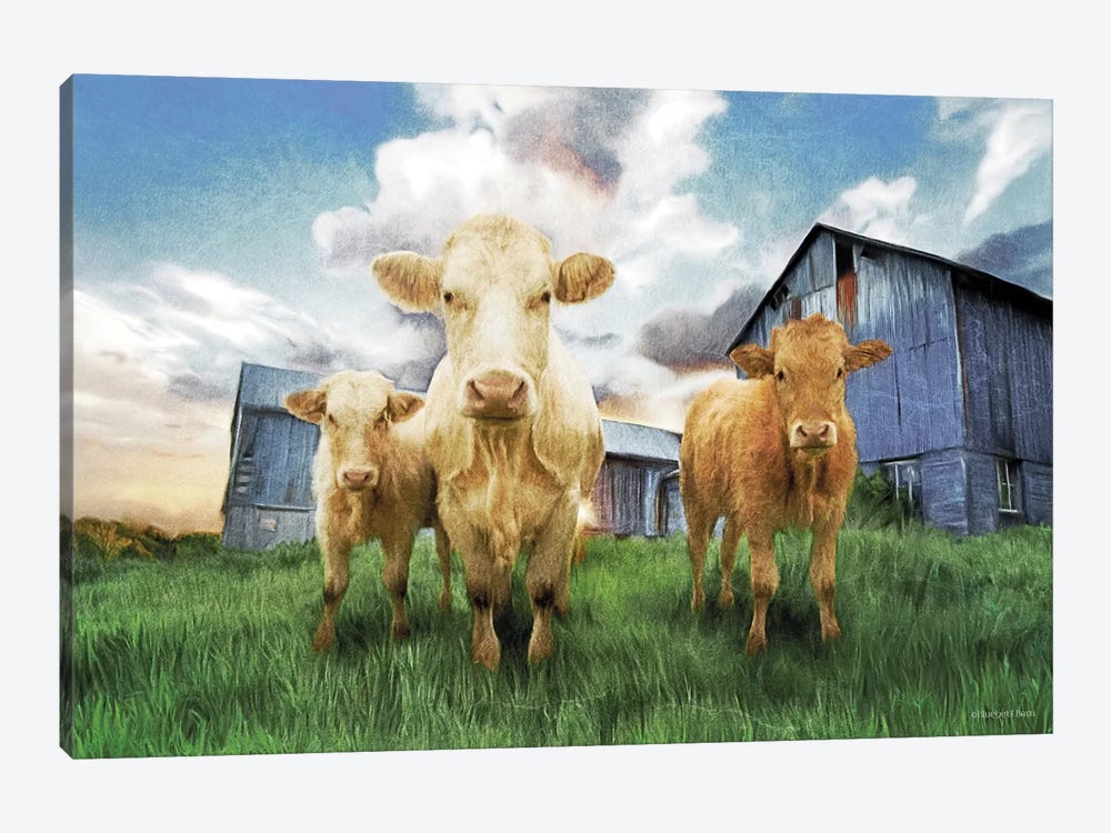 Three Curious Calves by Bluebird Barn 1-piece Canvas Art