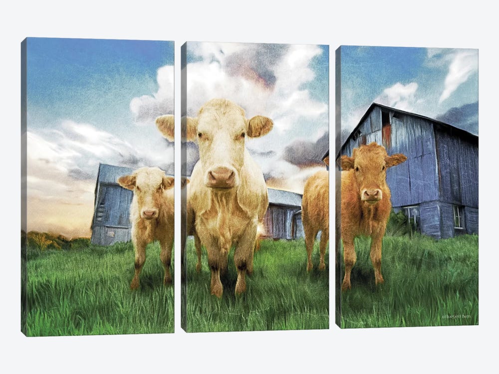 Three Curious Calves by Bluebird Barn 3-piece Canvas Wall Art