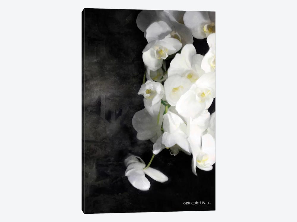 Contemporary White Orchids by Bluebird Barn 1-piece Canvas Print