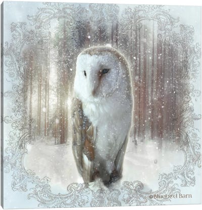 Enchanted Winter Owl Canvas Art Print - Bluebird Barn