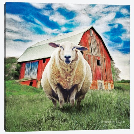 Sunday Afternoon Sheep Pose Canvas Print #BLB272} by Bluebird Barn Canvas Print