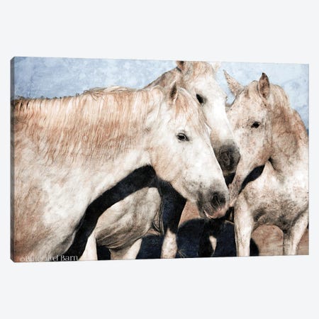 White Horse Canvas Print #BLB275} by Bluebird Barn Canvas Wall Art