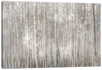 Birch Trees     Canvas Art Print - Cabin & Lodge Décor
