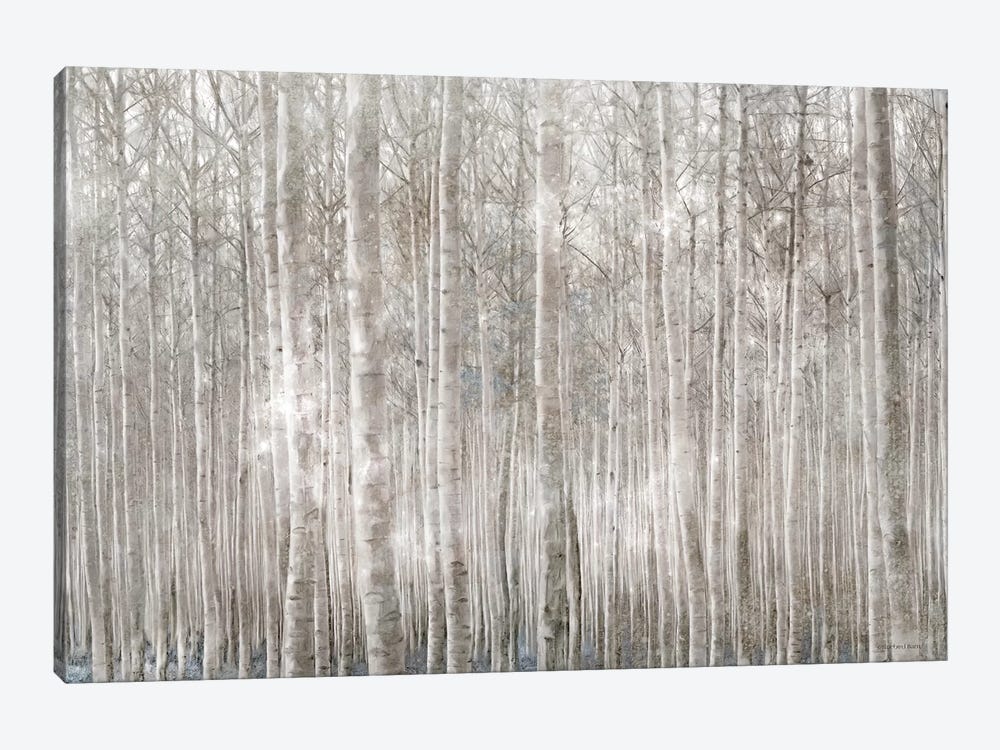 Birch Trees     by Bluebird Barn 1-piece Canvas Print