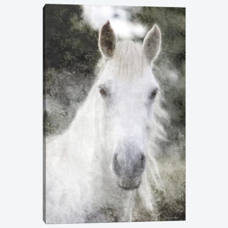 White Horse Mystique Canvas Print #BLB283} by Bluebird Barn Canvas Art