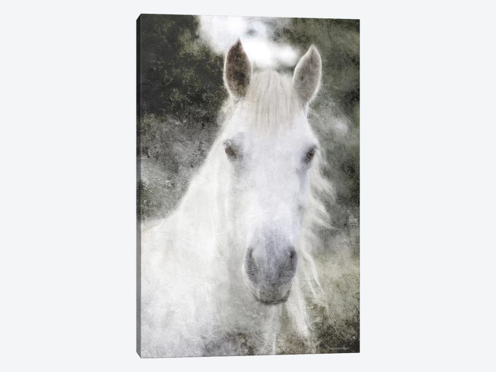 White Horse Mystique by Bluebird Barn 1-piece Art Print