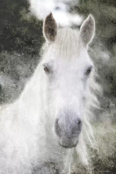 Bluebird Barn: White Horse Mystique by Bluebird Barn