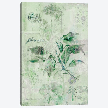 Dreamy Green Botanical I Canvas Print #BLB29} by Bluebird Barn Art Print