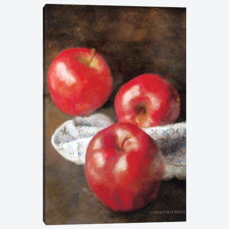 Apples and Quilt Canvas Print #BLB2} by Bluebird Barn Canvas Artwork