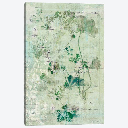 Dreamy Green Botanical II Canvas Print #BLB30} by Bluebird Barn Canvas Wall Art