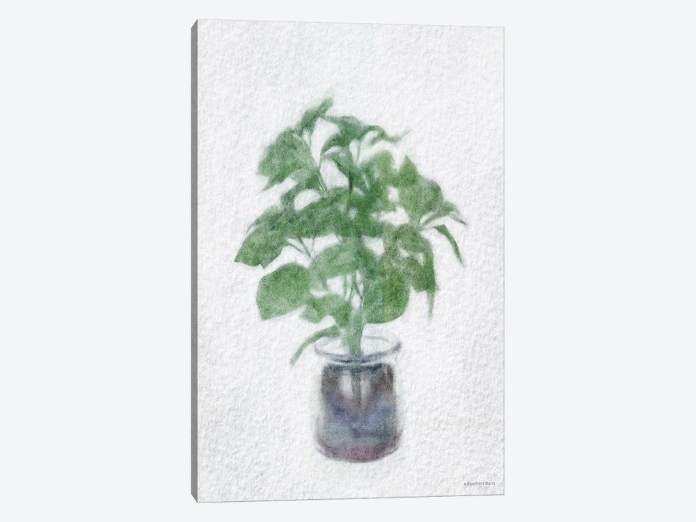 Basil Jar 1-piece Canvas Print
