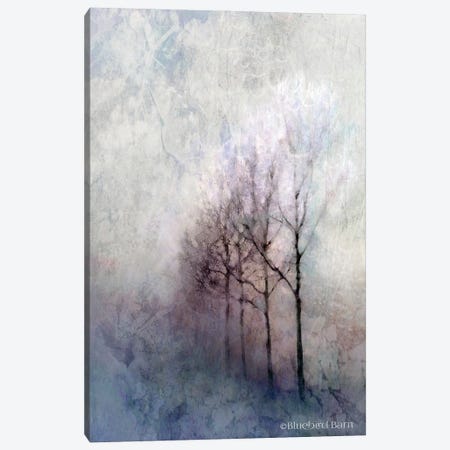 First Light Winter Forest Canvas Print #BLB33} by Bluebird Barn Canvas Wall Art