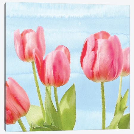 Fresh Spring Tulips I Canvas Print #BLB36} by Bluebird Barn Canvas Print