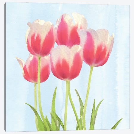 Fresh Spring Tulips III Canvas Print #BLB37} by Bluebird Barn Art Print