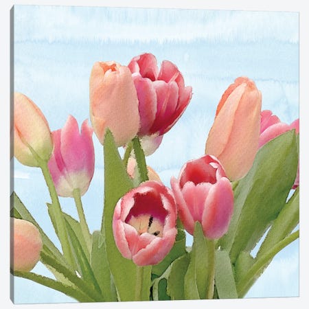 Fresh Spring Tulips IV Canvas Print #BLB38} by Bluebird Barn Canvas Wall Art