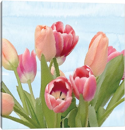Fresh Spring Tulips IV Canvas Art Print - Bluebird Barn