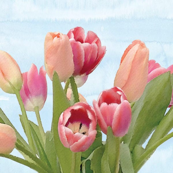 Bluebird Barn: Fresh Spring Tulips IV by Bluebird Barn