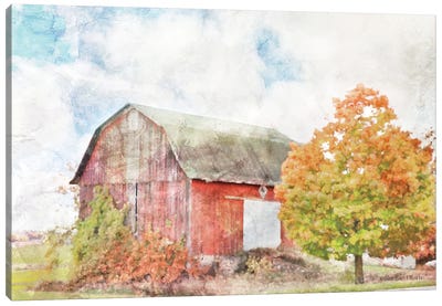 Autumn Maple by the Barn Canvas Art Print