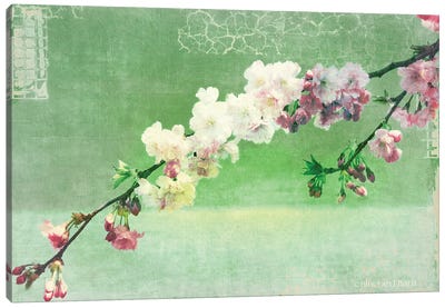 Green and Pink Arching Blossom Canvas Art Print - Blossom Art