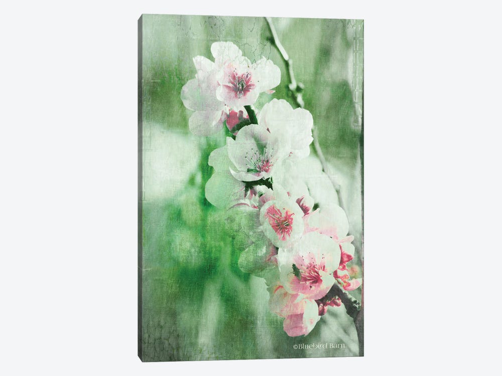 Green and Pink Blossom Burst 1-piece Art Print