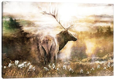 Heading Home Canvas Art Print - Elk Art