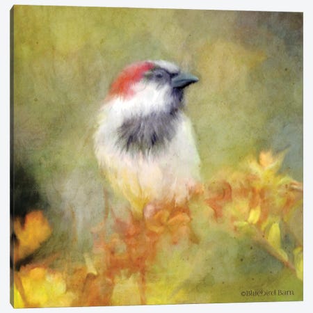 Backyard Bird in Autumn Canvas Print #BLB4} by Bluebird Barn Canvas Art Print
